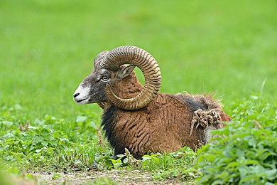 连云港花果山风景区：通关《黑神话：悟空》可获免费门票